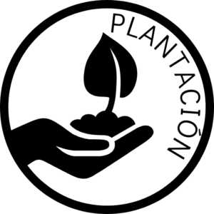 Plantación