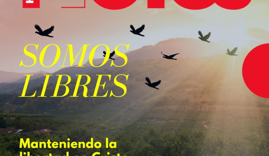 Revista Hechos, Edición No 5