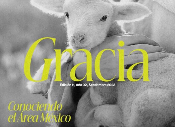 Revista Hechos, edición 11