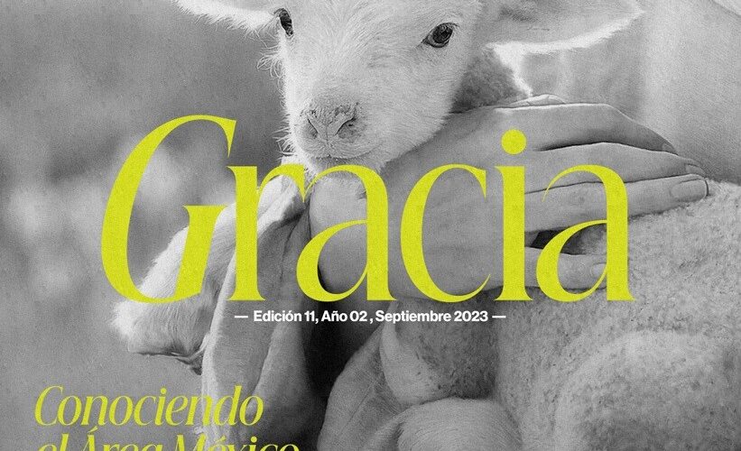 Revista Hechos, edición 11