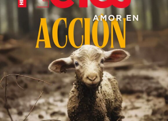 Revista Hechos, edición 18