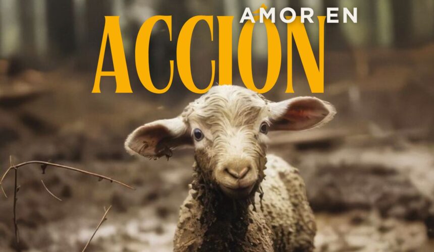 Revista Hechos, edición 18 Revista Hechos, edición 18